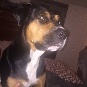 Meet your Posher, Sonia